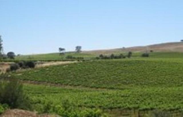 Stonewell Cottages And Vineyards ทานันดา ภายนอก รูปภาพ