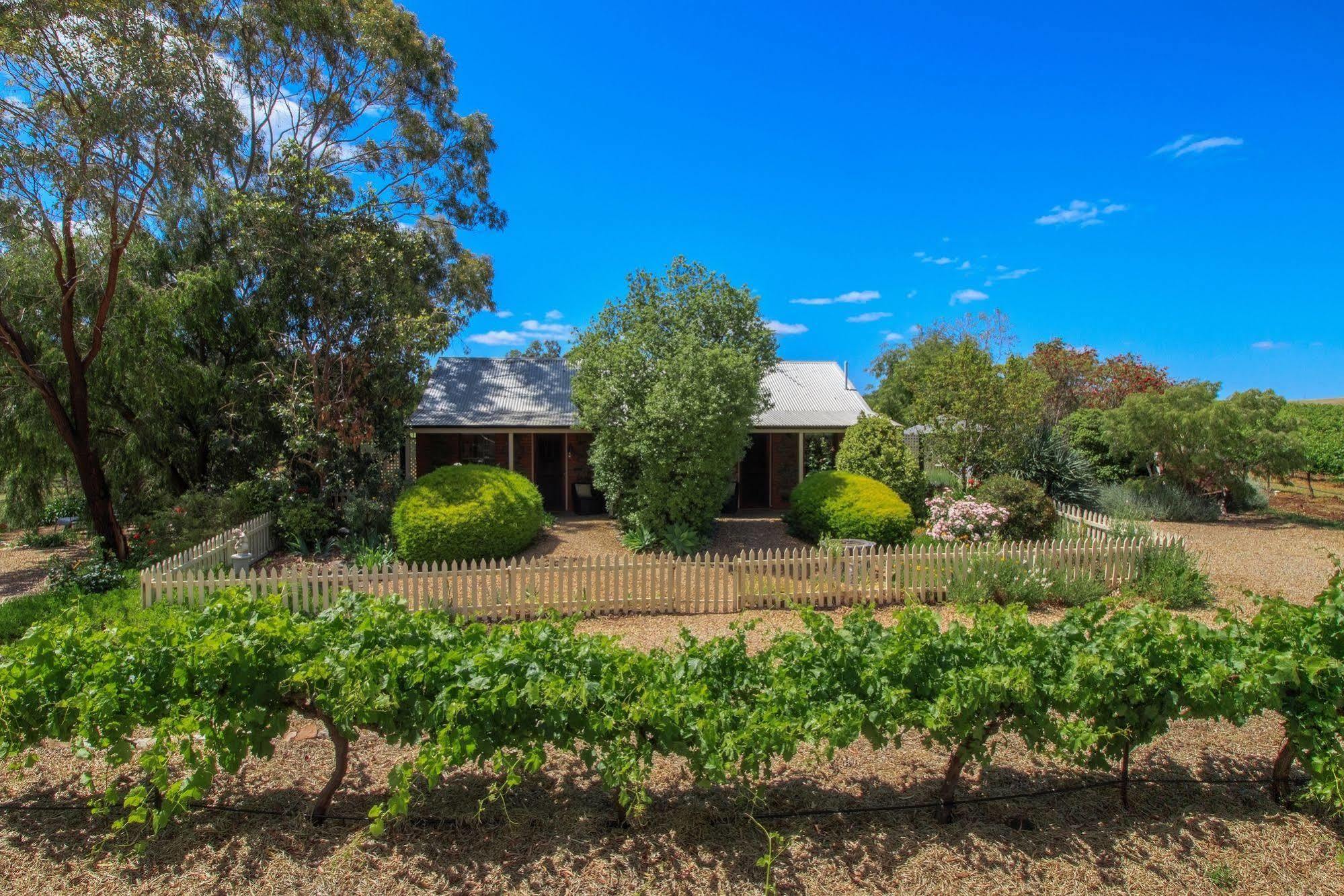Stonewell Cottages And Vineyards ทานันดา ภายนอก รูปภาพ
